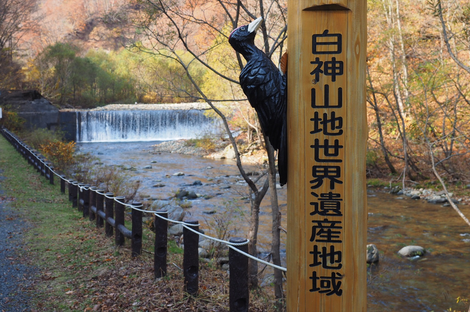 世界遺産白神山地の暗門の滝