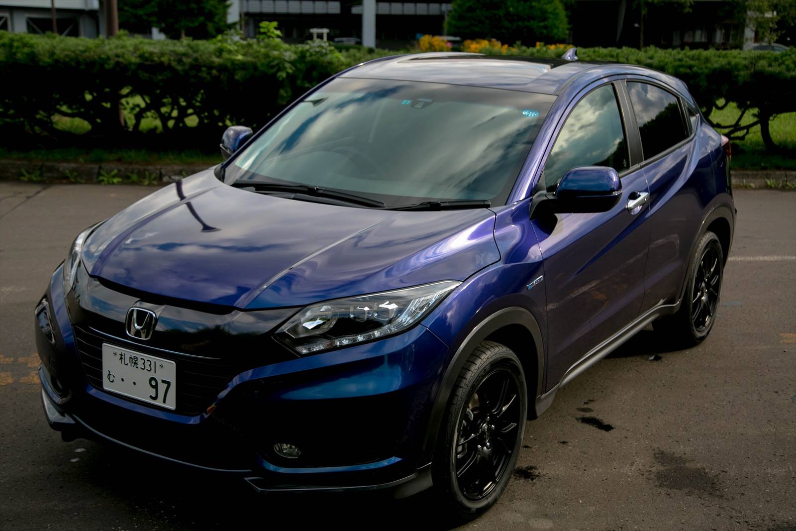 モルフォブルー