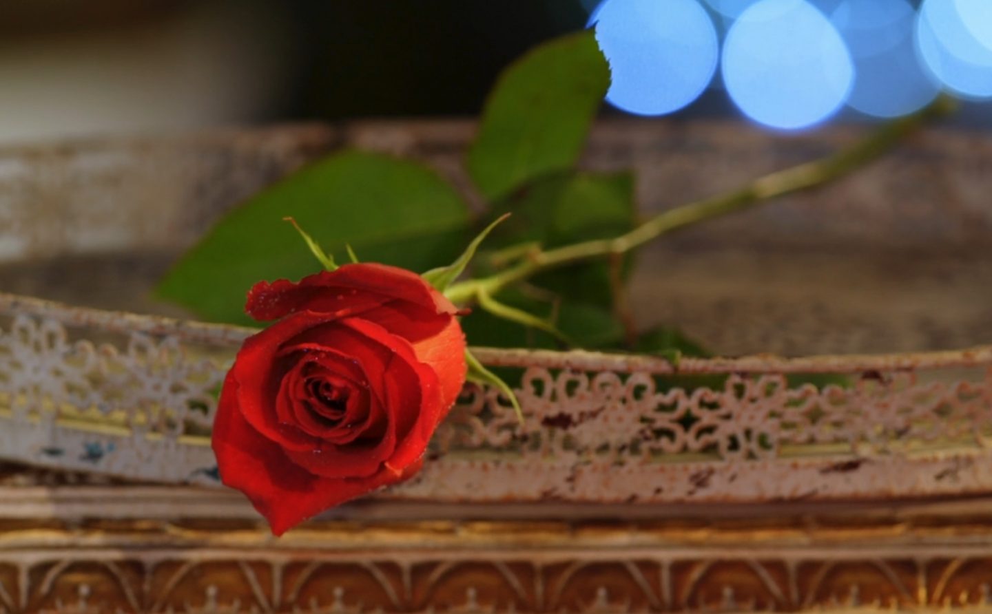 バチェラー・ジャパンシーズン2　倉田茉美さんの引き寄せに感動した