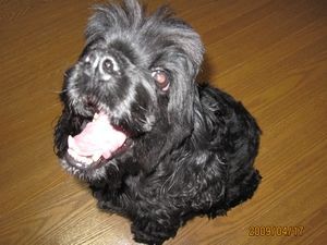 ビビはいつも口があいてる