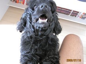 なんか言ってるケド、、、