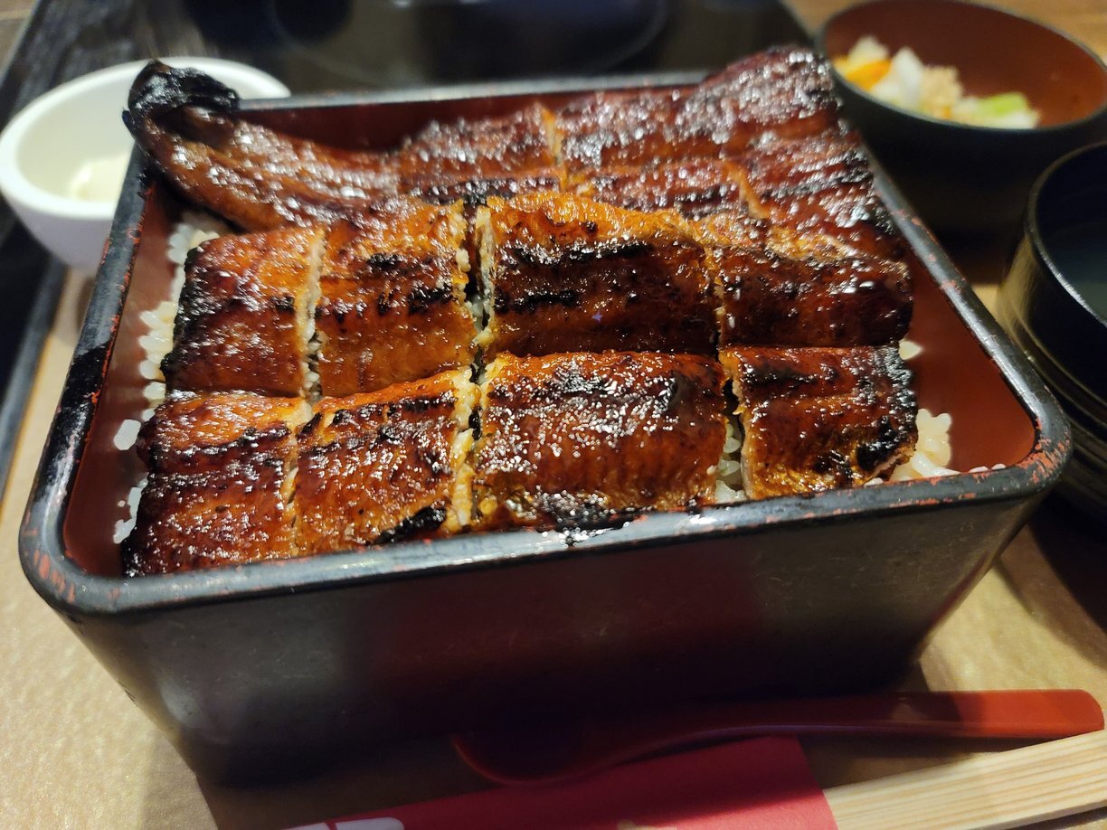 『うなぎ屋たむろ多真』北名古屋店 カリッとふっくらした極上鰻頂きました！